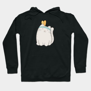 fin, the cat Hoodie